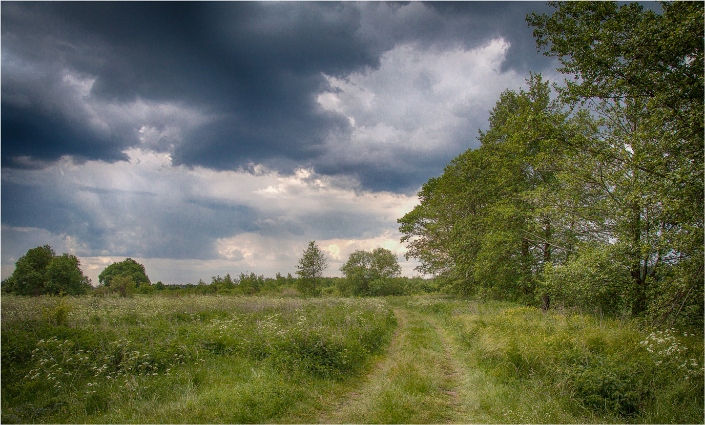 Перед грозой