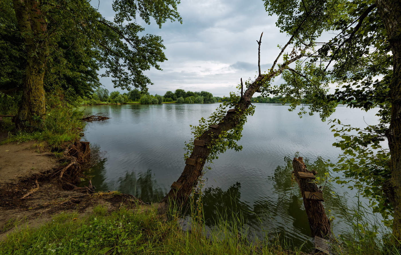 Пейзаж после грозы у хутора Стефановский
