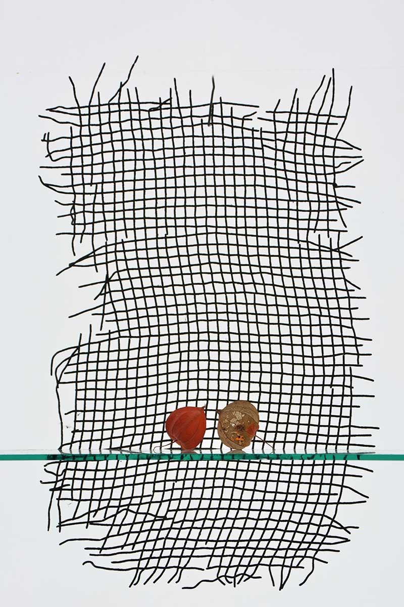 натюрморт 025