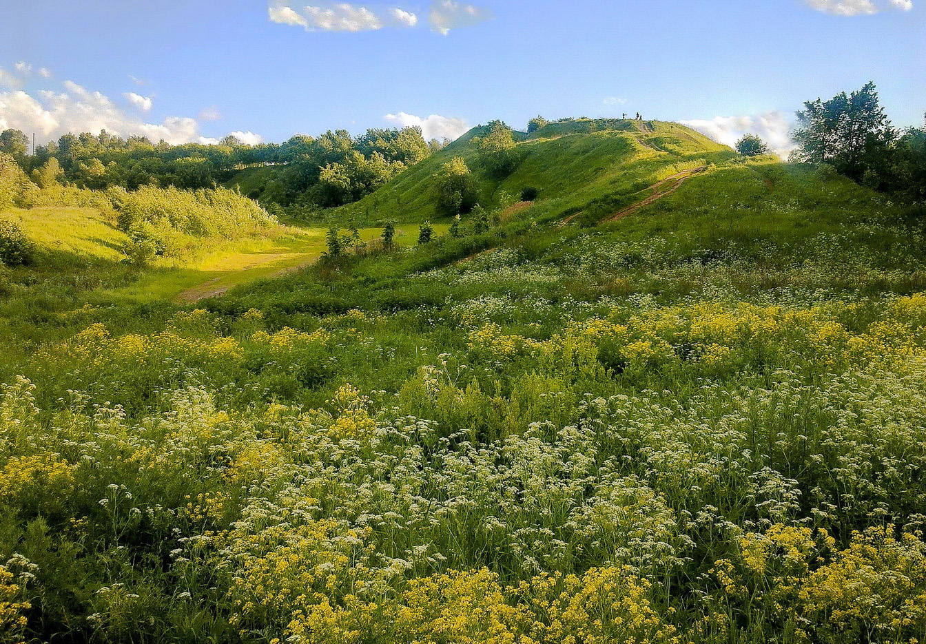 Дьяково городище В Коломенском
