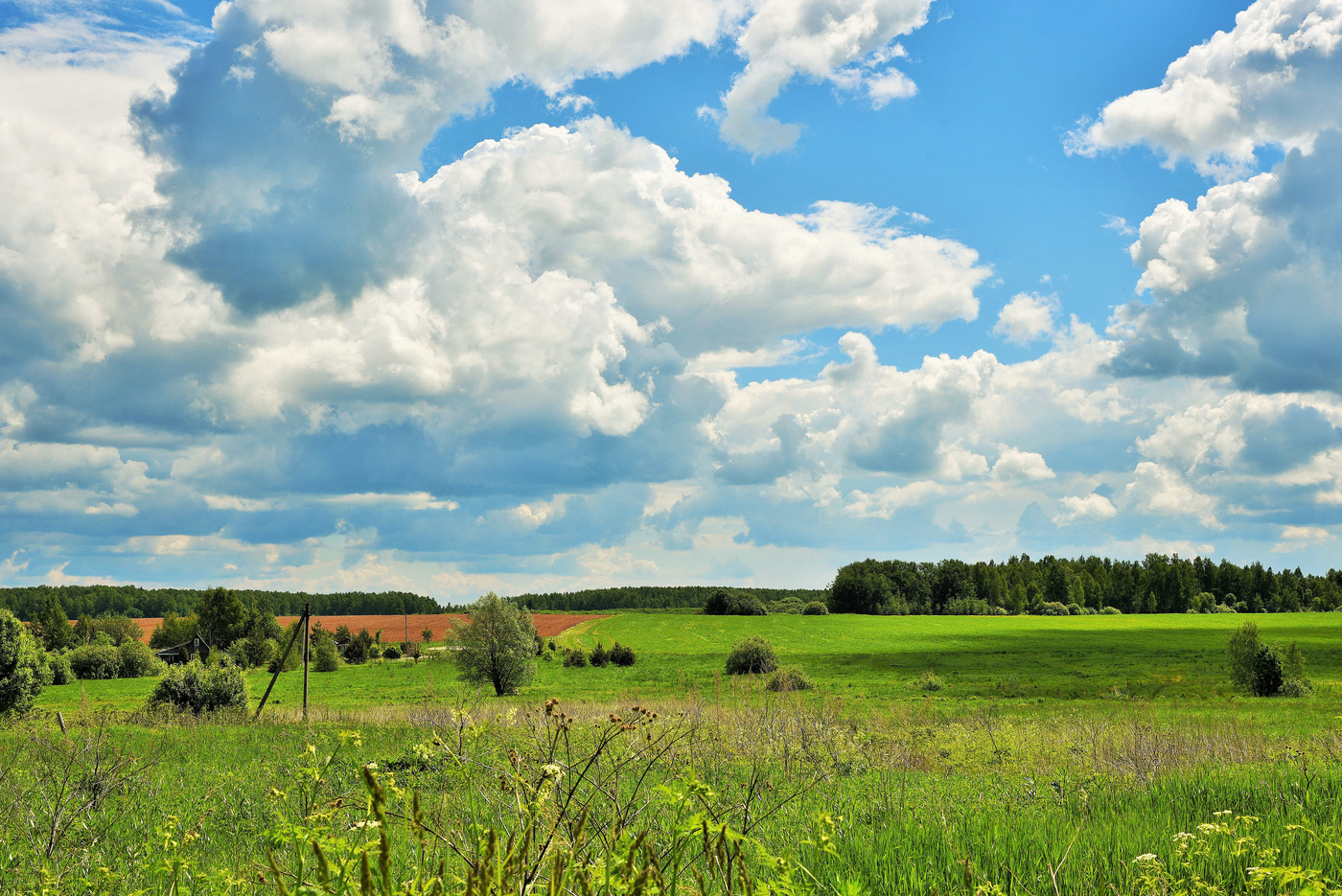 "Какой прекрасный нынче день..."