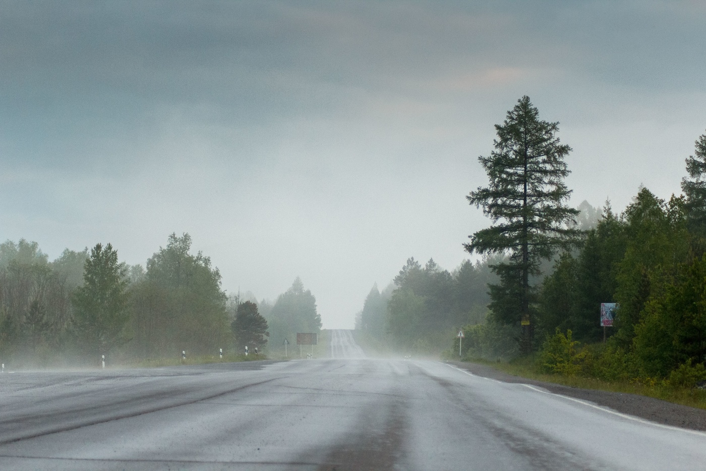 После дождя