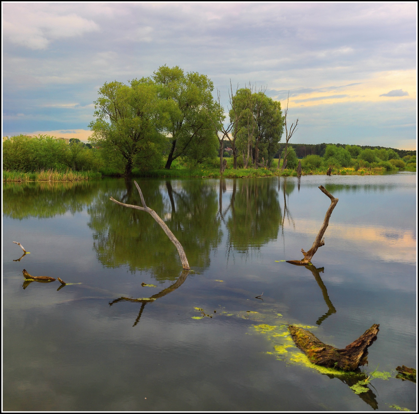 пригородный пейзаж