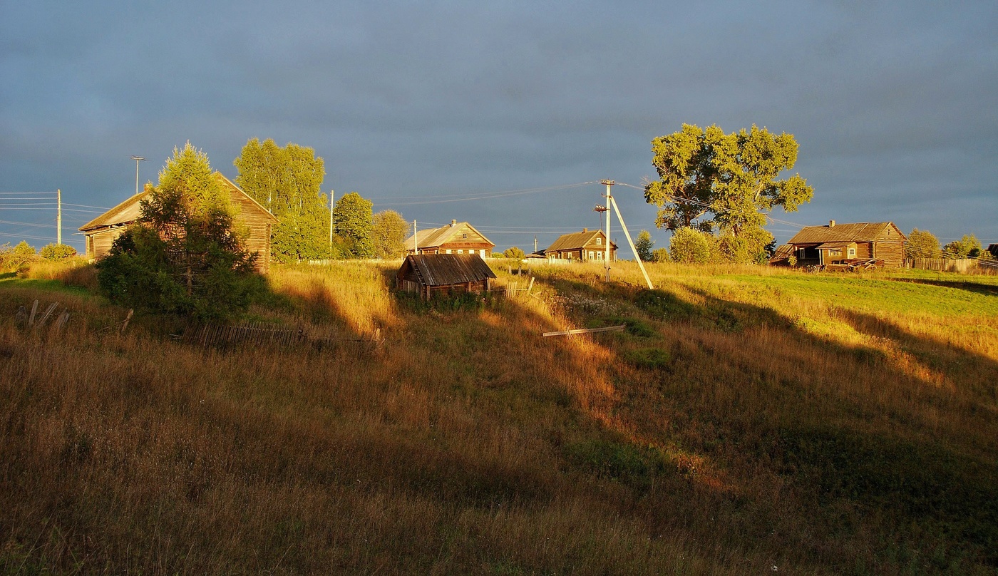Вечер медленно выползал из оврага...