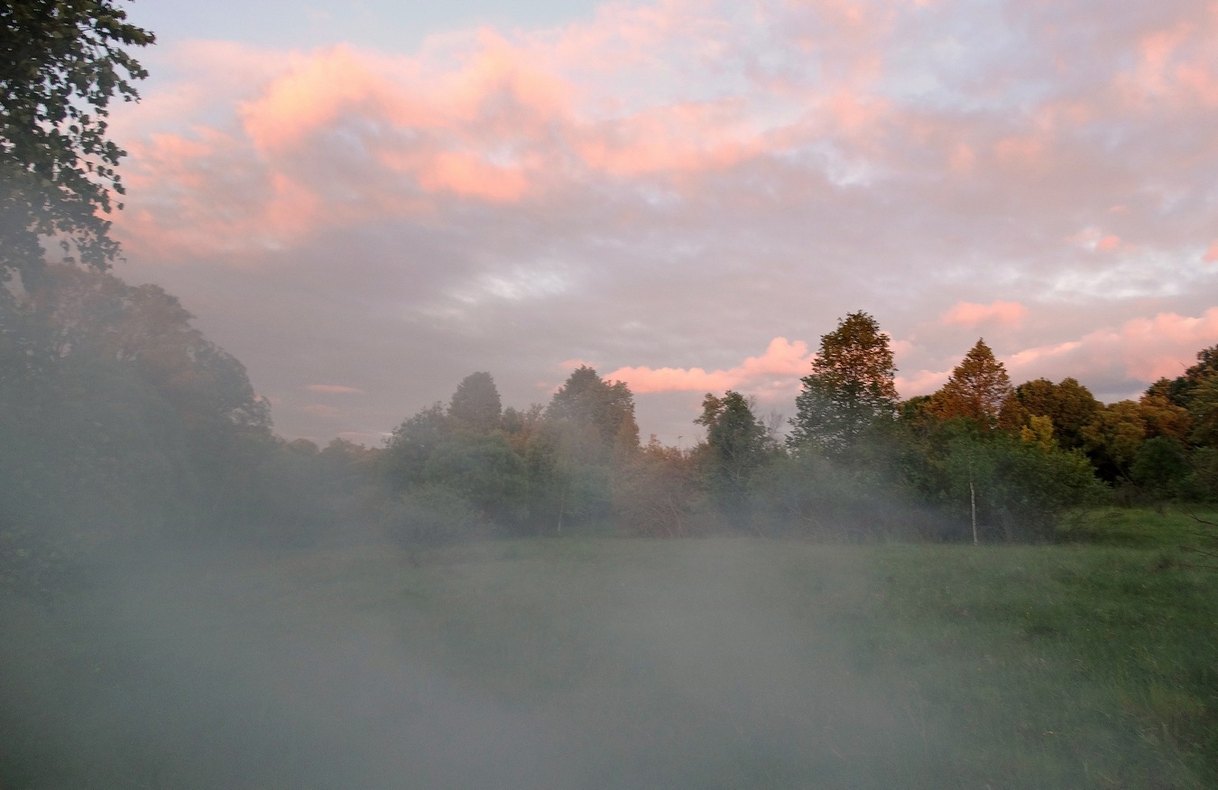 Туман ползёт на возвышенность