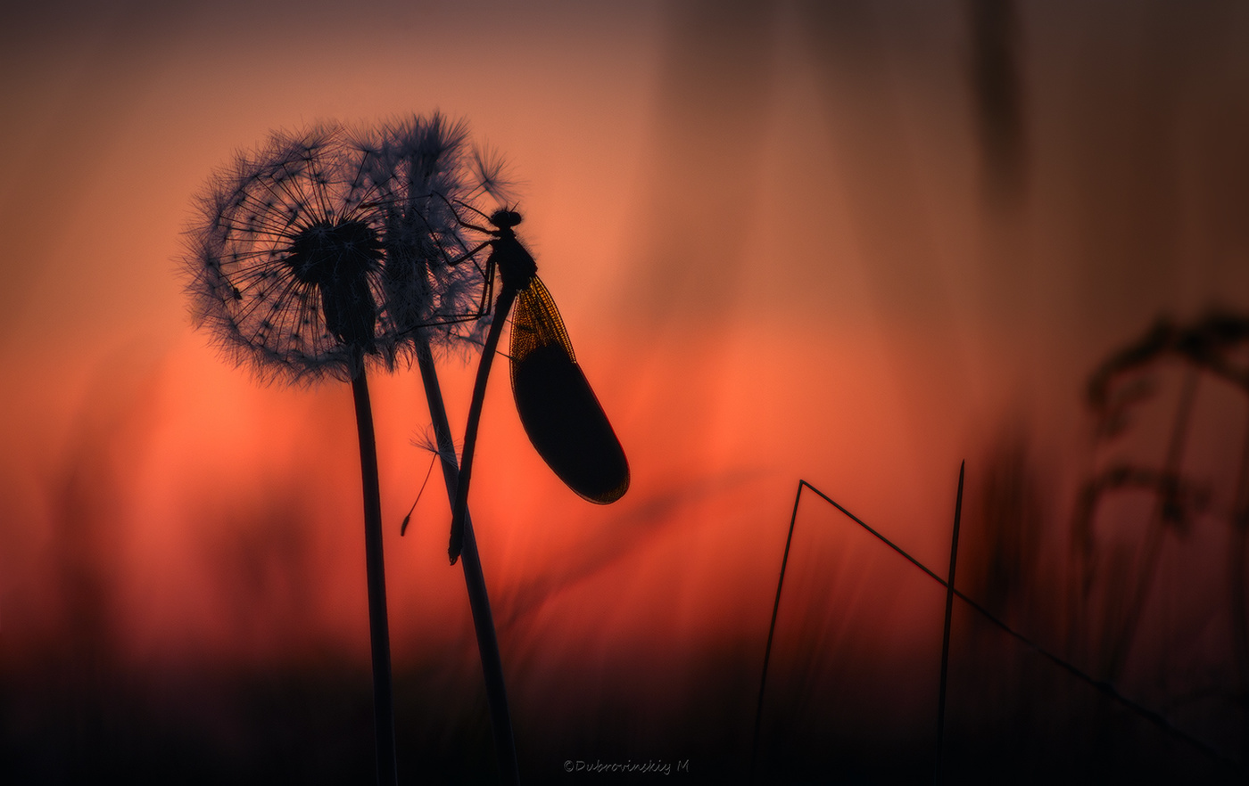 Провожая майский закат