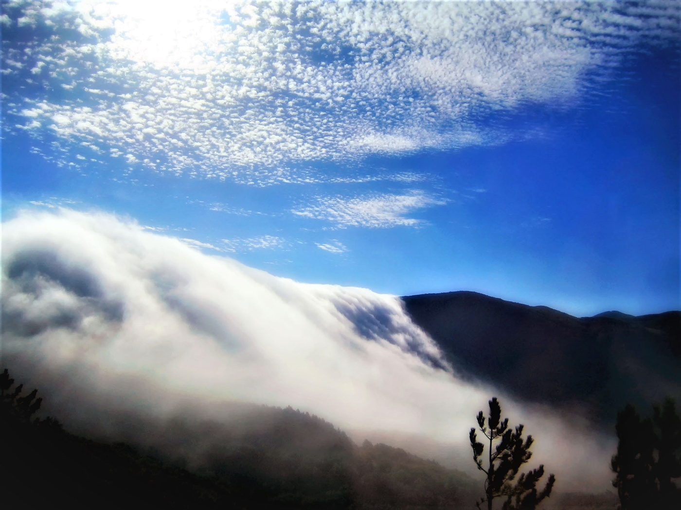 На гребне волны.