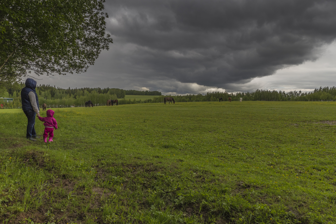 Первое июня