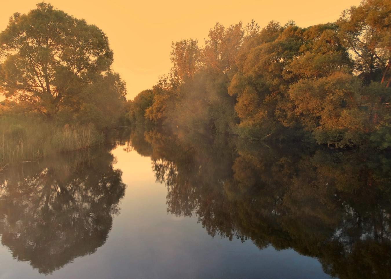 Июньский вечер