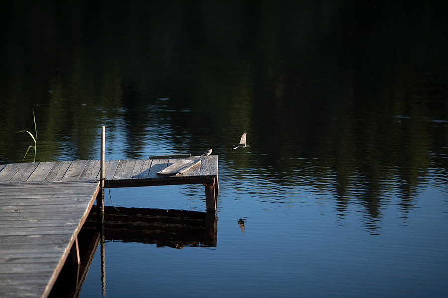в вечерней тишине