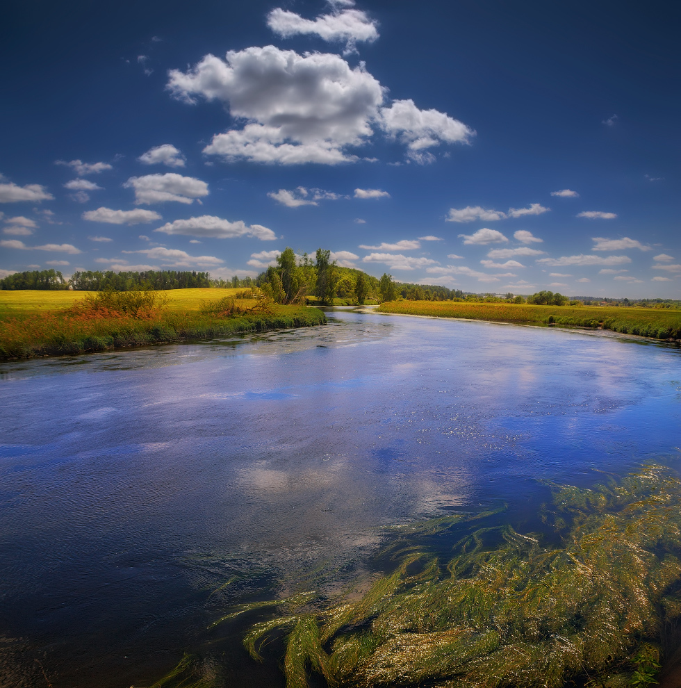 Голубые отражения