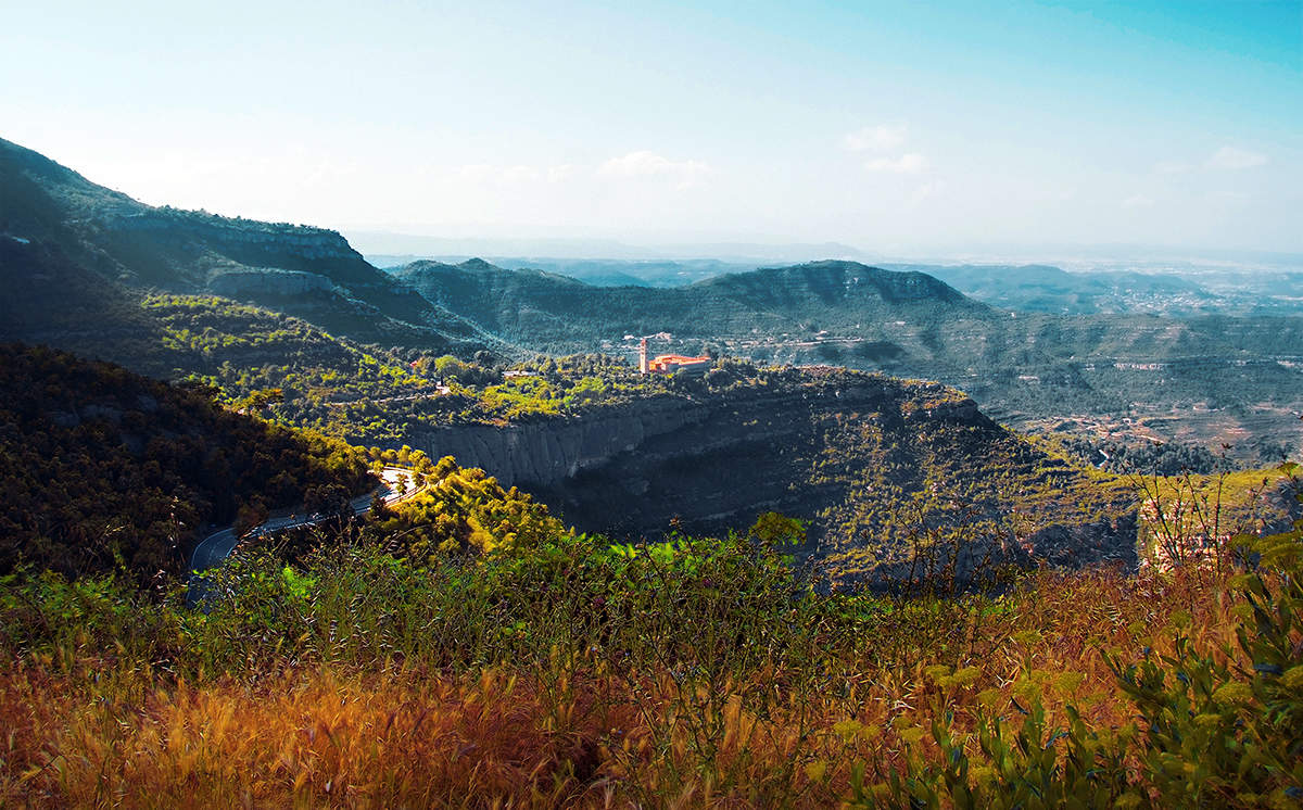 Чудесный денёк