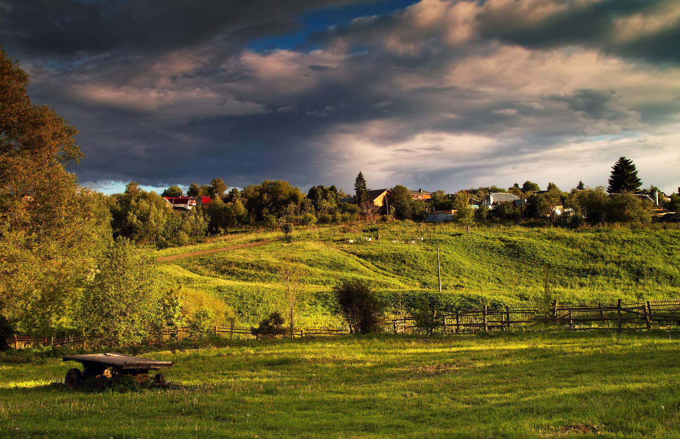 Солнечный свет в ненастье