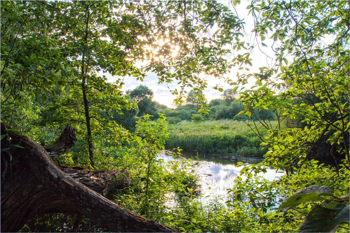 Июньский закат