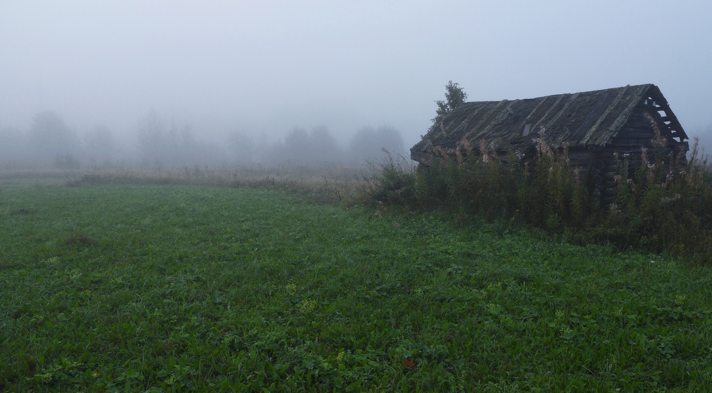 Где-то там, в тумане, возможно ...