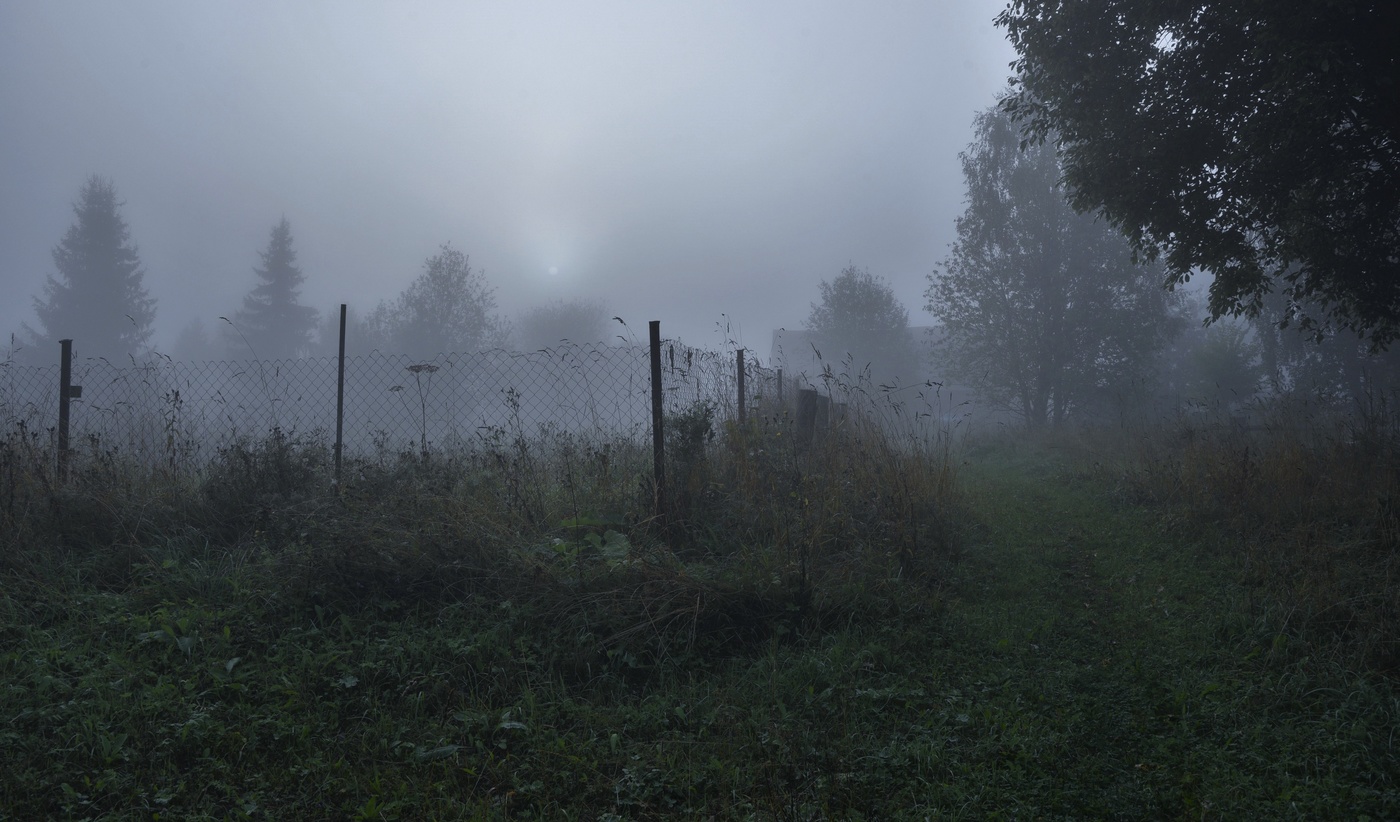 Частые туманы августа ...