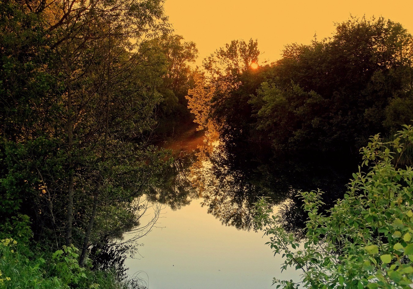 Летний вечер на речке