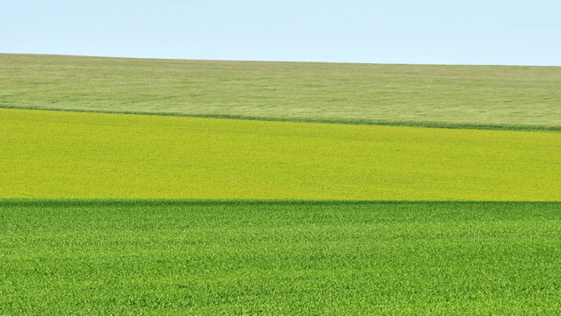 Одиночный кадр