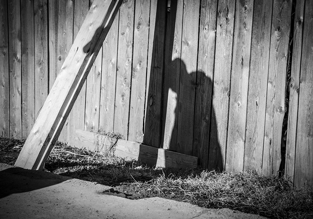 Одиночный кадр