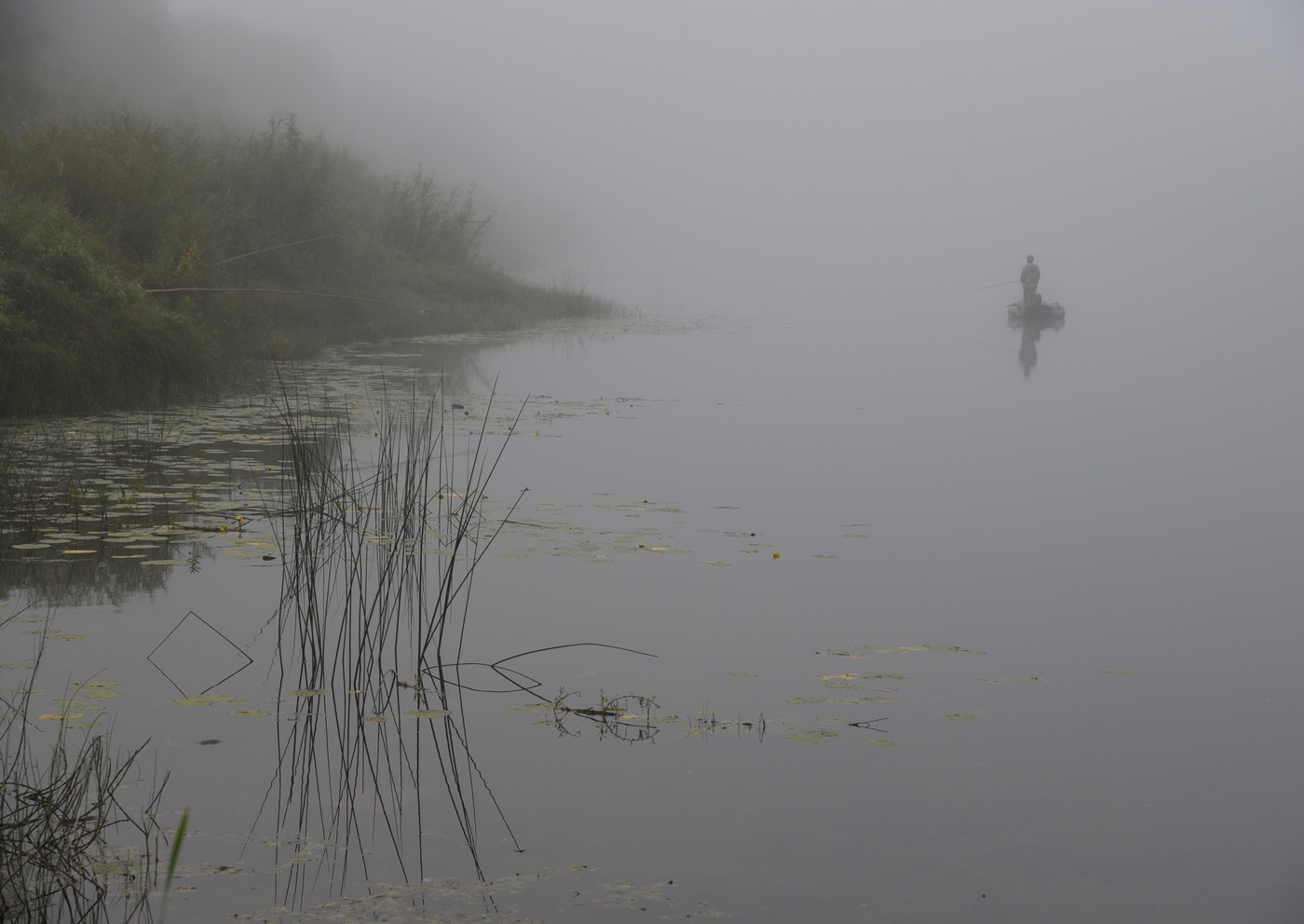 Наедине с безмолвием ...
