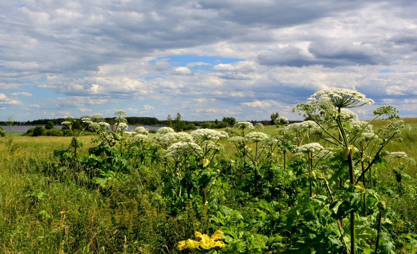Путь к озеру