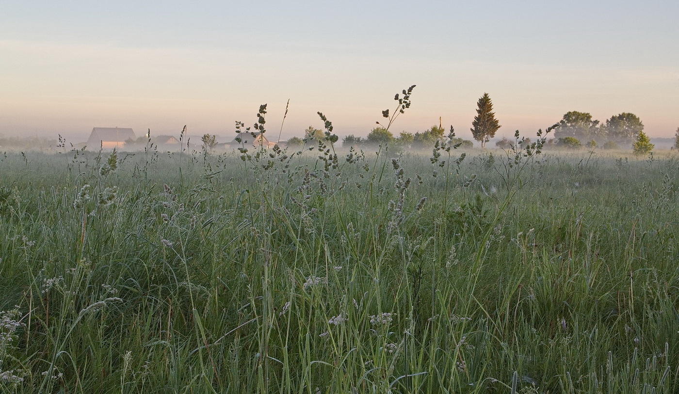 *НА РАССВЕТЕ.**