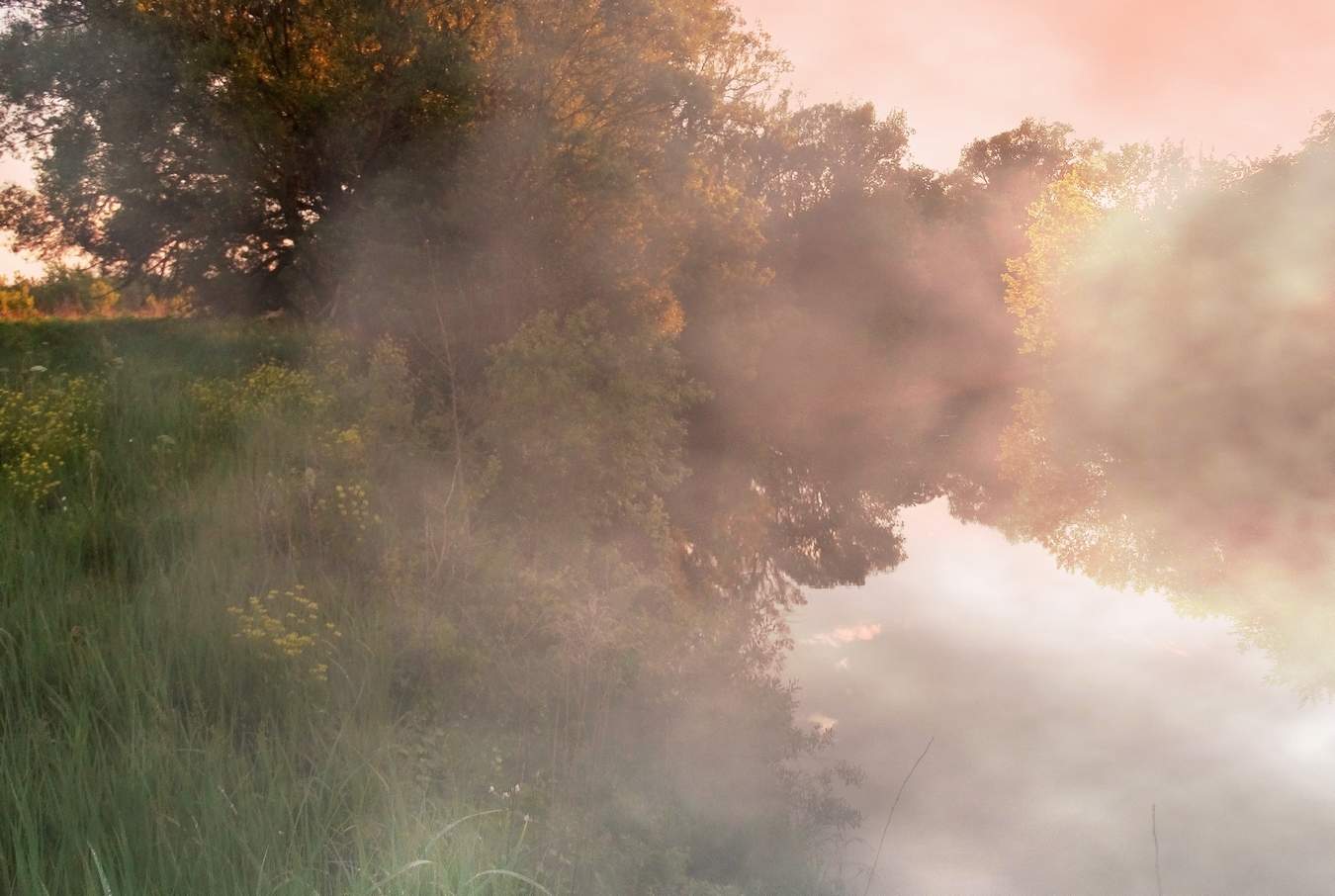 Розовый туманный вечер