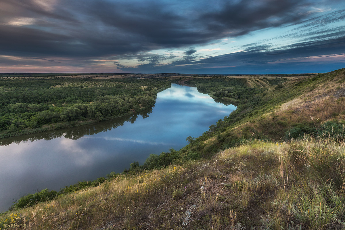Донец тишайший