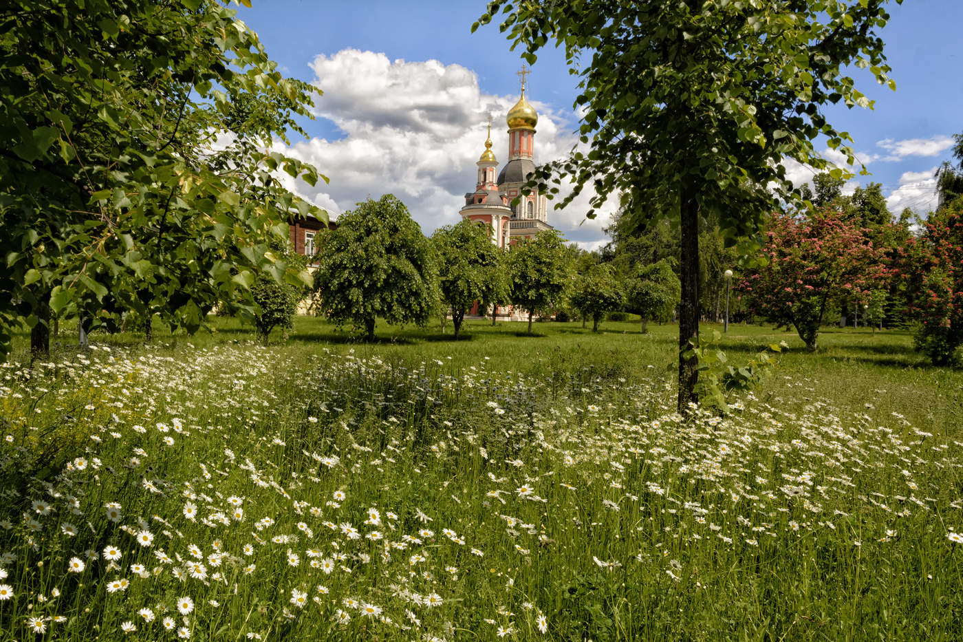 немного солнца в июне