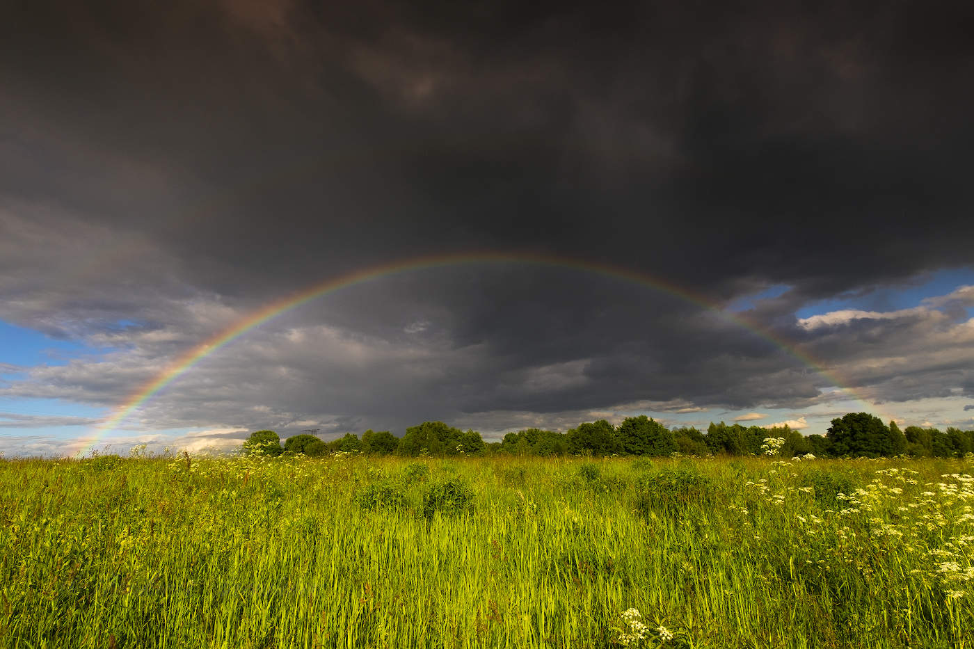 После дождя природа улыбается