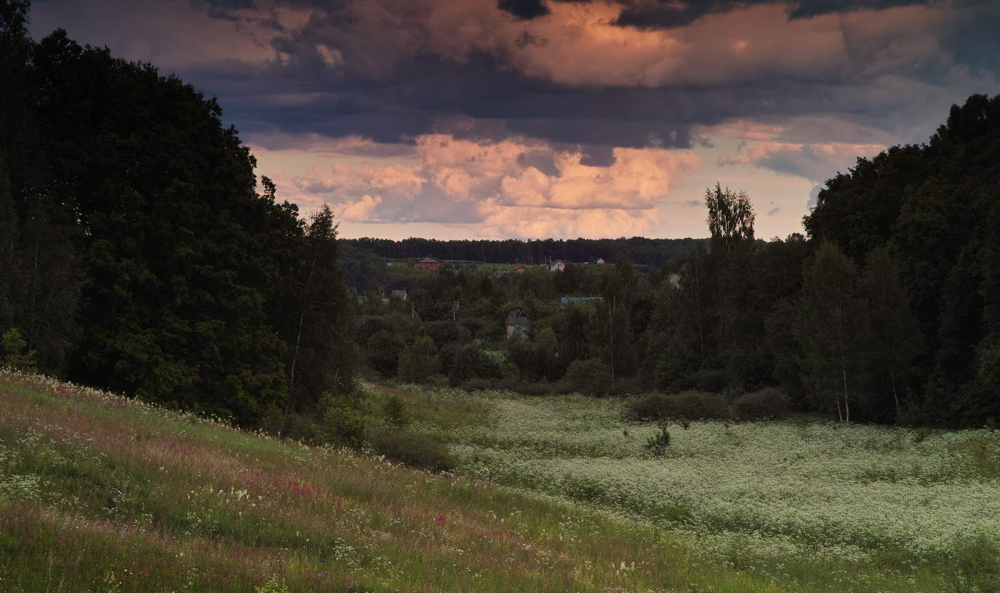 Летнее разнотравье под грозовым небом