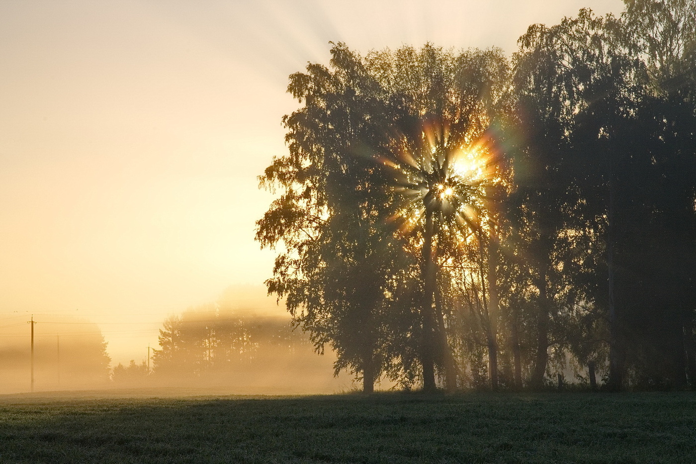 *УТРЕННЕЕ СОЛНЫШКО.**