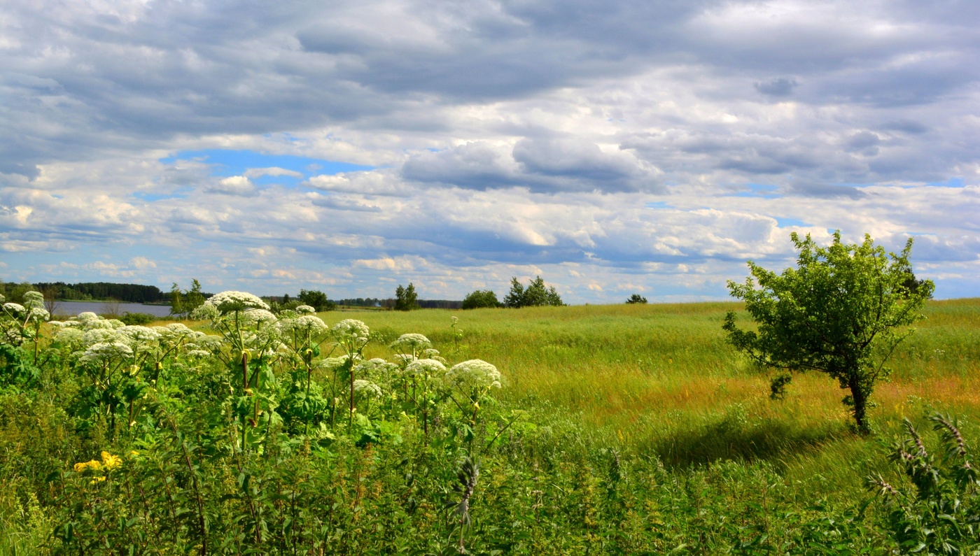 Облачный июнь