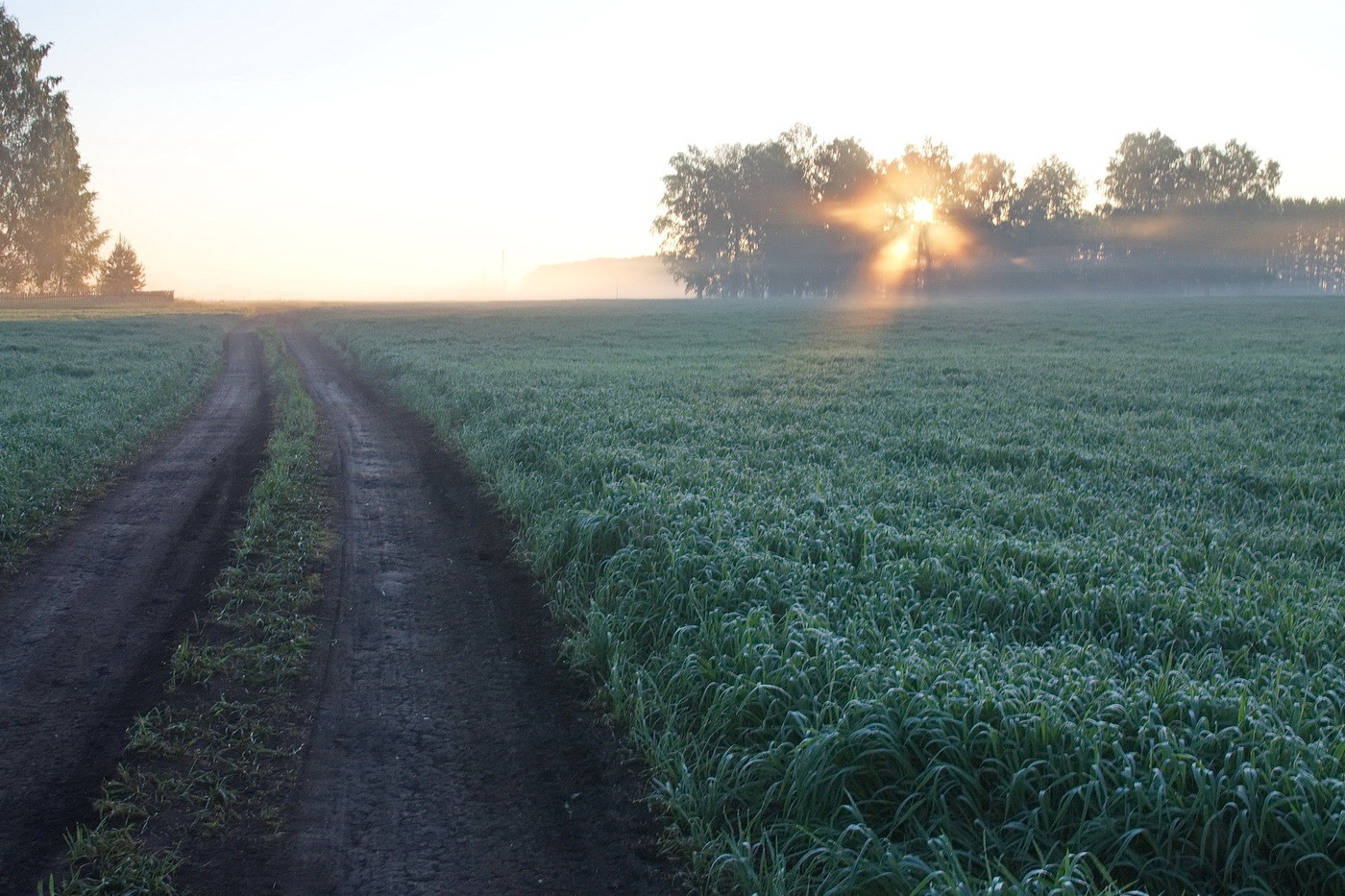 **НА ВОСХОДЕ*