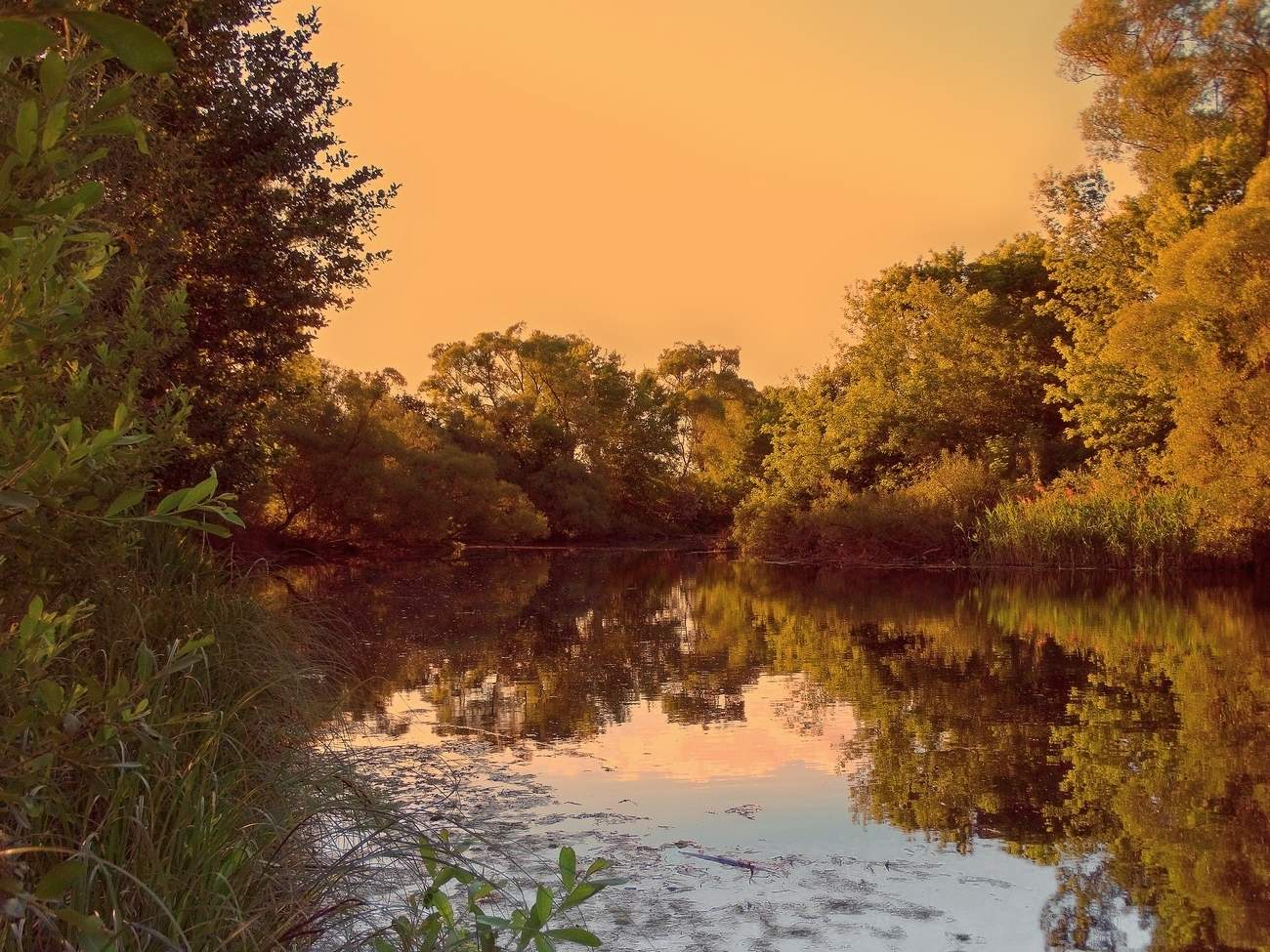 Вечер в июне на речке