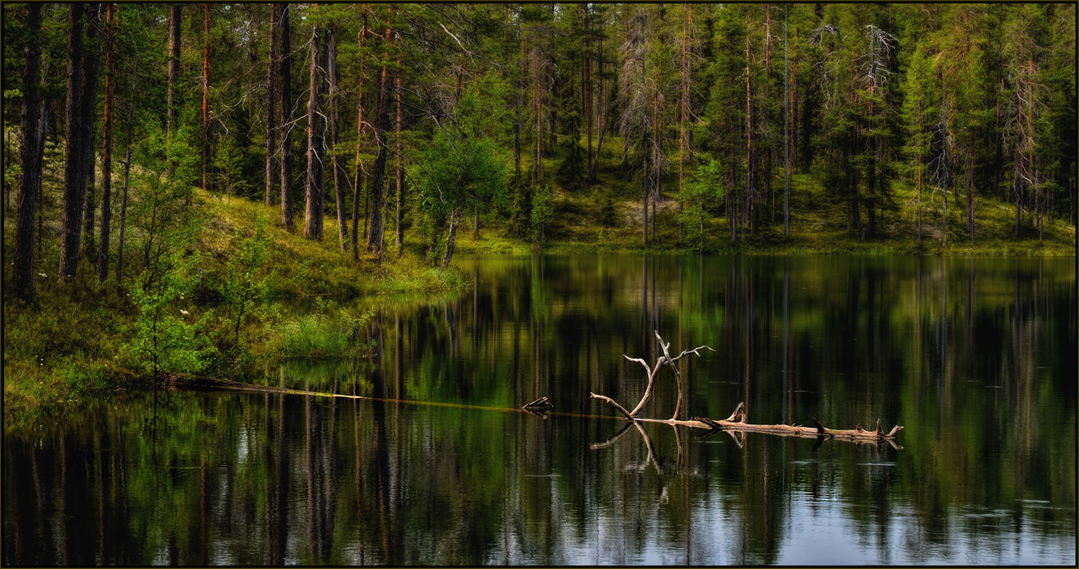 О загадочном озере в глубинах карельского приполярья...
