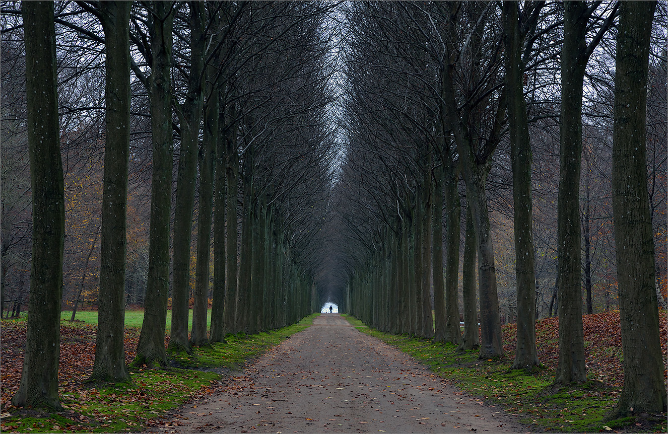 Темные аллеи