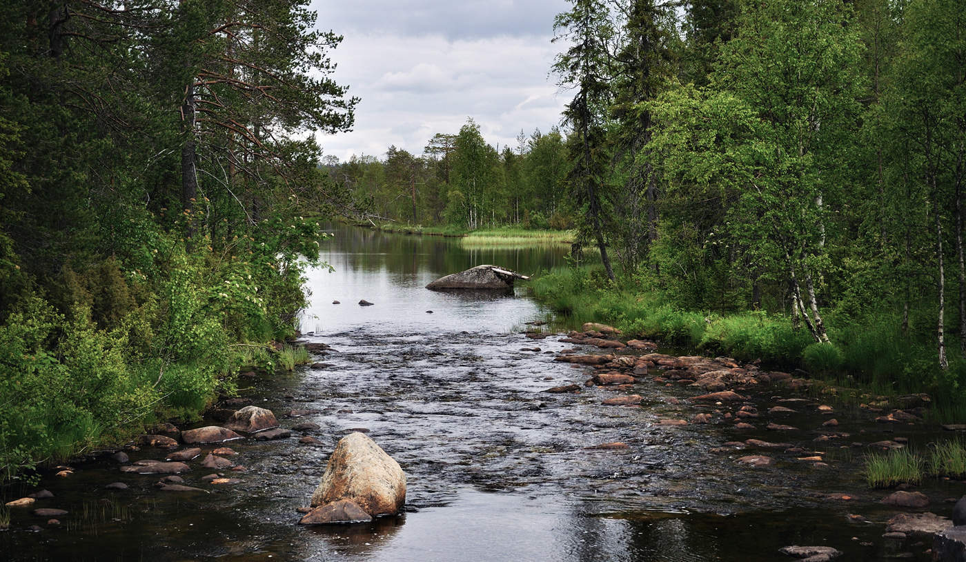 Перед дождём