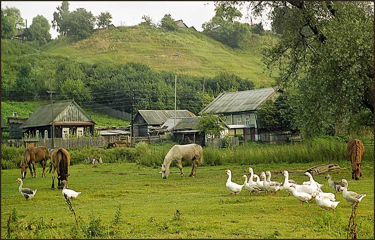 Деревенское утро