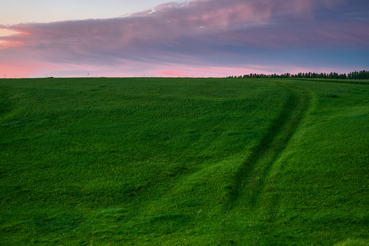 Позарастали стежки дорожки...