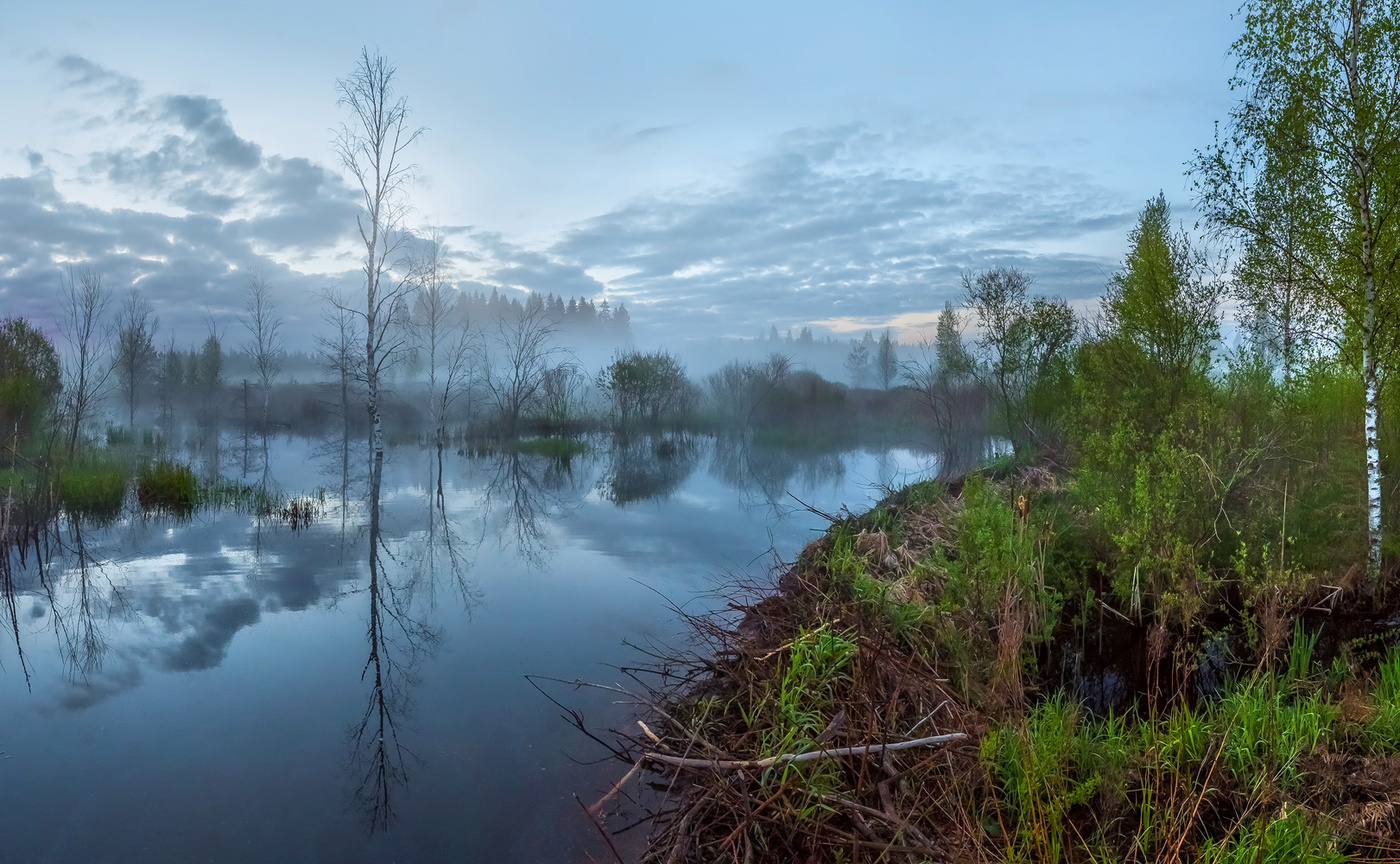 Затопленный ручей