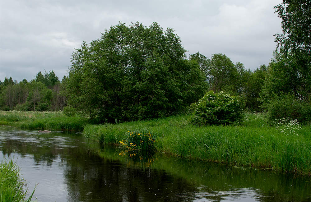В глухом уголке