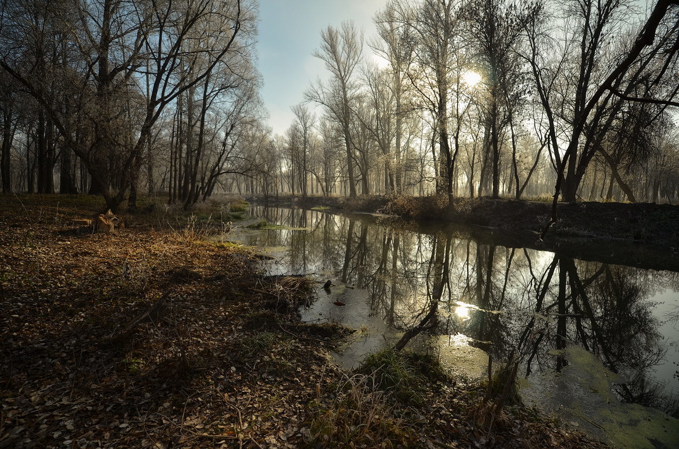 Парк в объятьях ноября