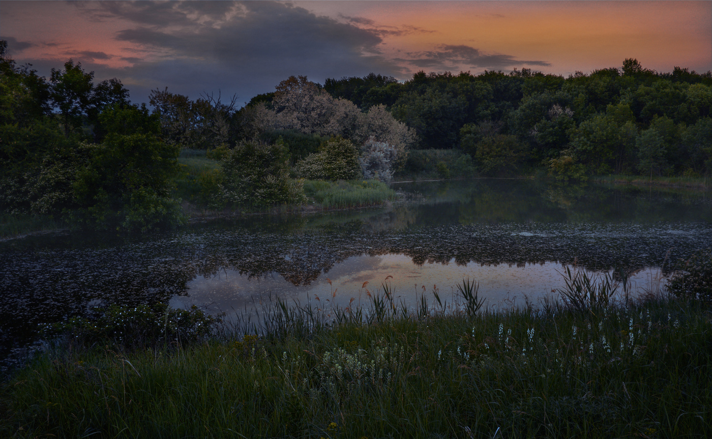 Отцвела акация