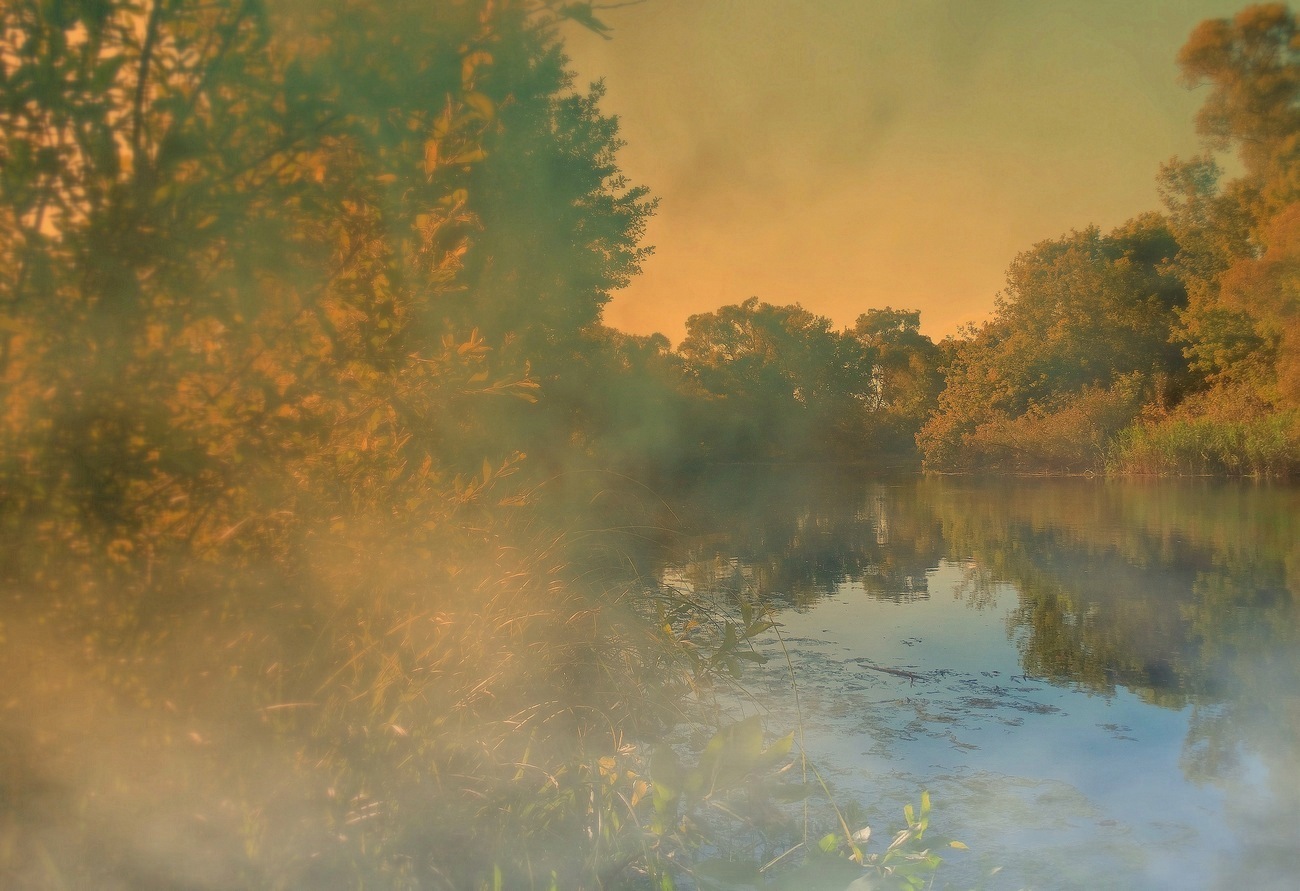 Туманный вечер