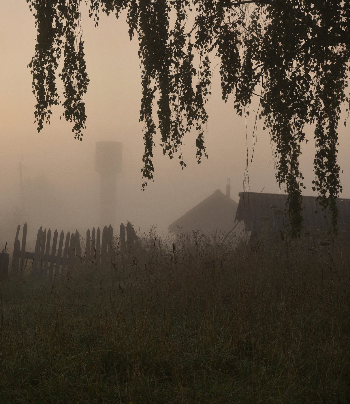 Предрассветный этюд ...