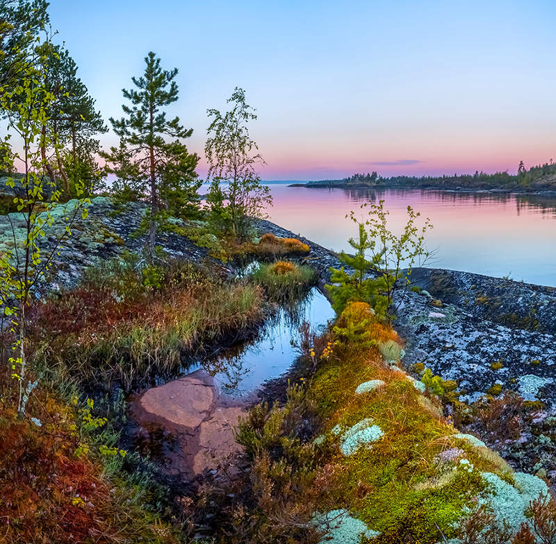 Болотная композиция на острове