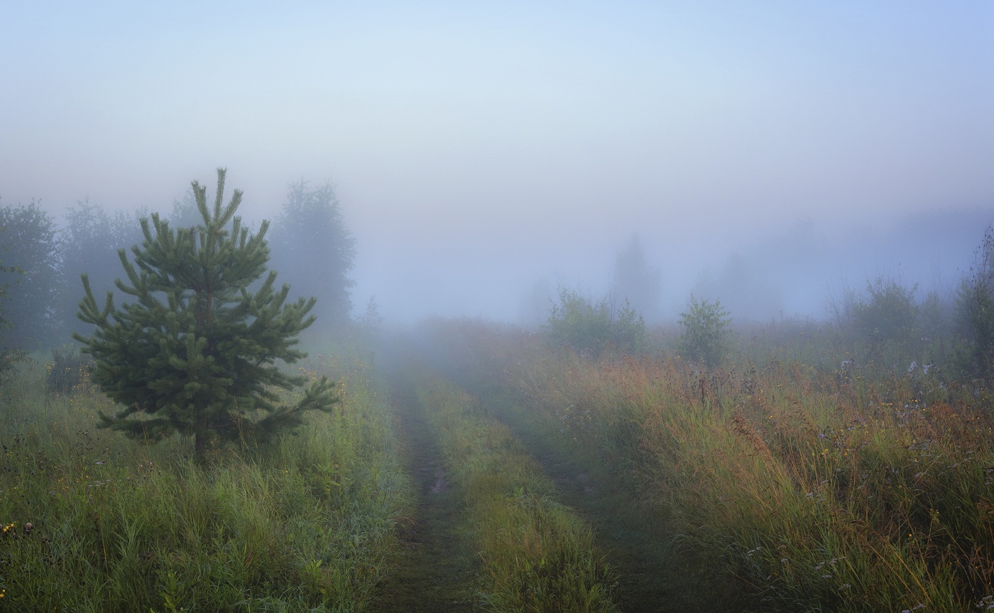 Вдоль по утренней...