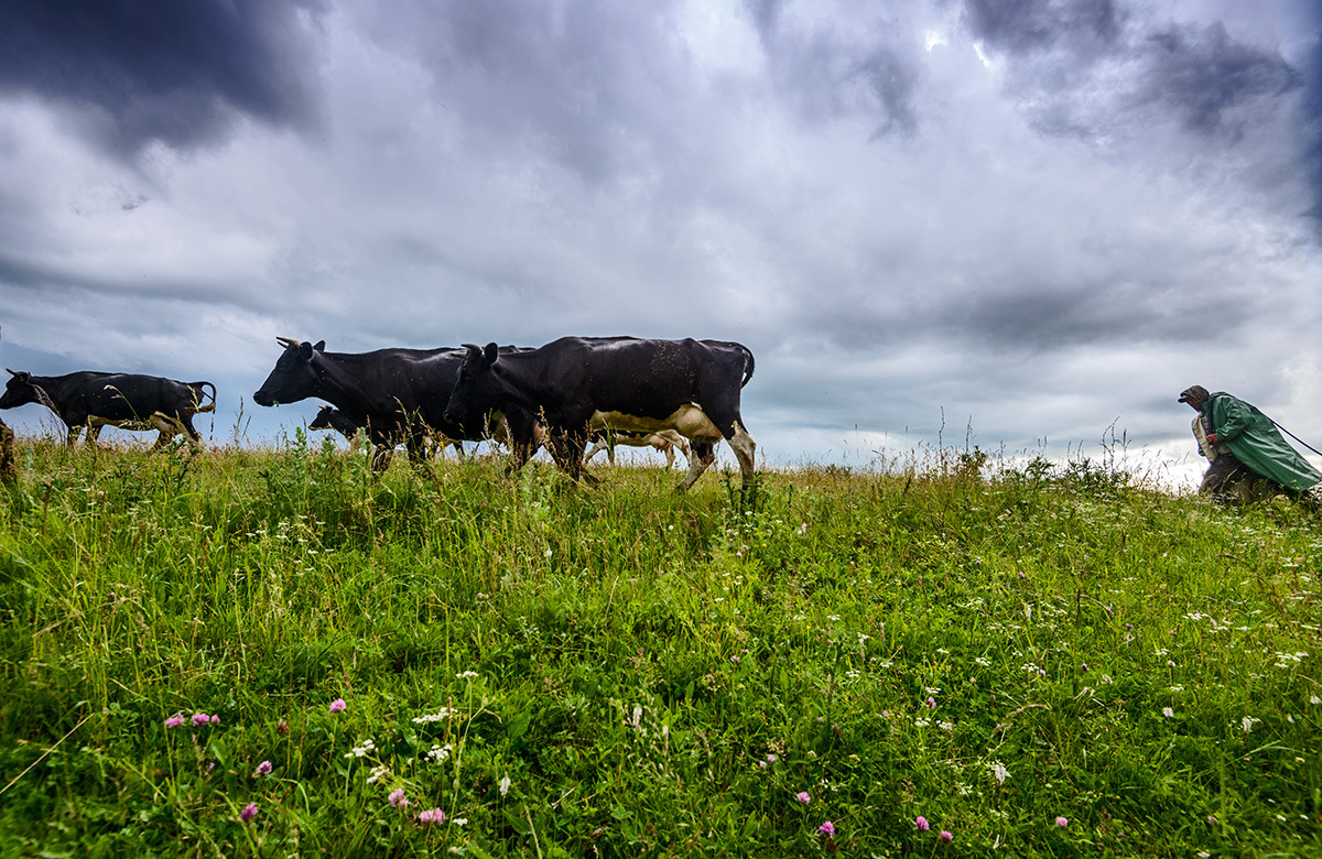 Уйти от грозы...