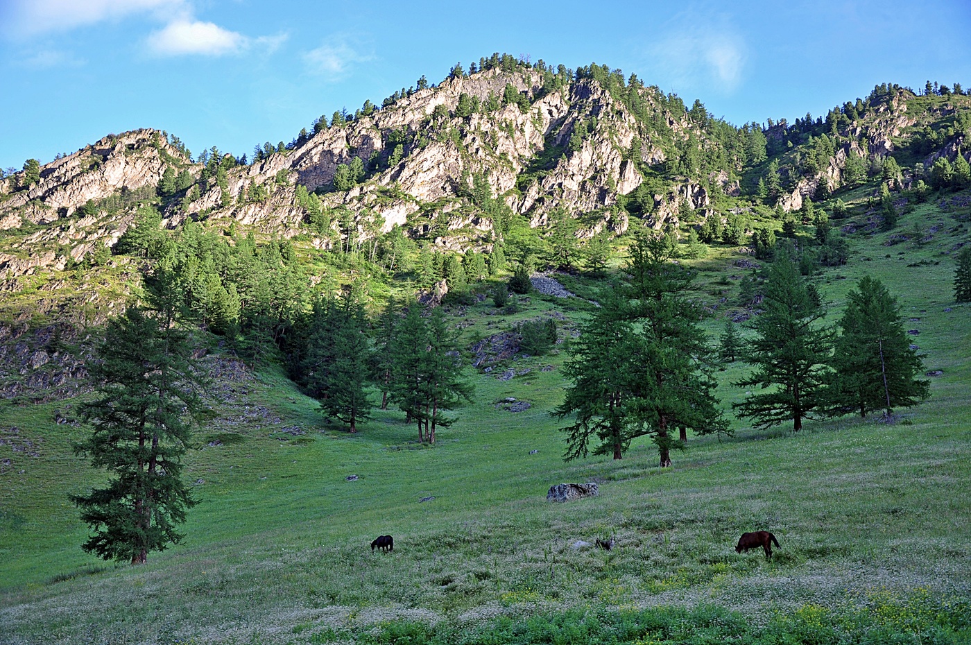 Утро в горах Алтая